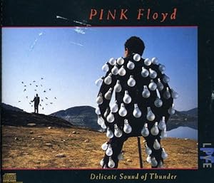 Bild des Verkufers fr Delicate Sound of Thunder. Pink Floyd Live. (2 Audio-CDs) zum Verkauf von Bcher bei den 7 Bergen