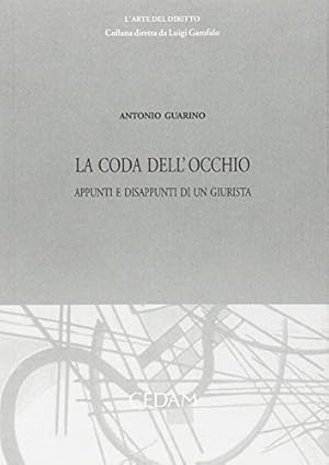 La coda dell'occhio : appunti e disappunti di un giurista