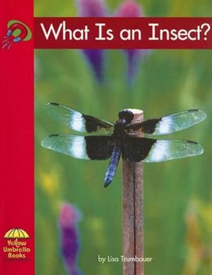 Bild des Verkufers fr What Is an Insect? zum Verkauf von WeBuyBooks