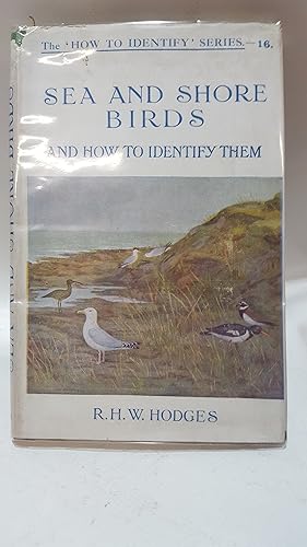 Bild des Verkufers fr SEA AND SHORE BIRDS (AND HOW TO IDENTIFY THEM). THE 'HOW TO IDENTIFY' SERIES zum Verkauf von Cambridge Rare Books