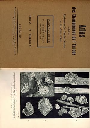 Atlas des Champignons de l'Europa Tome II Pleurotus Fries