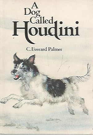 Bild des Verkufers fr A Dog Called Houdini zum Verkauf von Black Rock Books