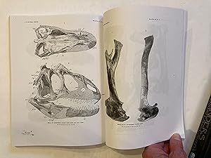 OSTEOLOGY OF THE CARNIVOROUS DINOSAURIA IN THE UNITED STATES NATIONAL MUSEUM, WITH SPECIAL REFERE...