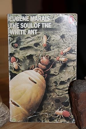 The Soul of the White Ant