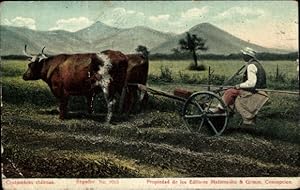 Imagen del vendedor de Ansichtskarte / Postkarte Chile, Costumbres chilenas, Landwirtschaft, Pflug, Bauer, Rind a la venta por akpool GmbH