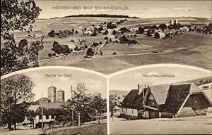 Ansichtskarte / Postkarte Herrischried am Hotzenwald, Partie im Dorf, Naturfreundehaus, Panorama