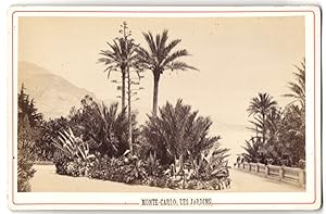 Fotografie unbekannter Fotograf, Ansicht Monte Carlo, Les Jardins de Casino