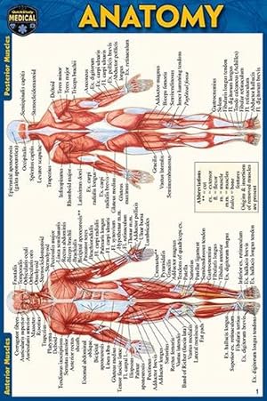 Seller image for Anatomy Pocket-Sized Reference Guide (4x6 Inches) (Hardcover) for sale by Grand Eagle Retail