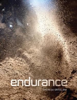 Seller image for Endurance (Hardcover) for sale by Grand Eagle Retail