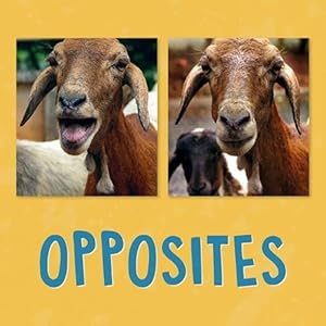 Seller image for Opposites (Paperback) for sale by Grand Eagle Retail