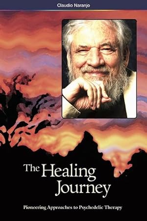 Seller image for The Healing Journey (2nd Edition) (Paperback) for sale by Grand Eagle Retail