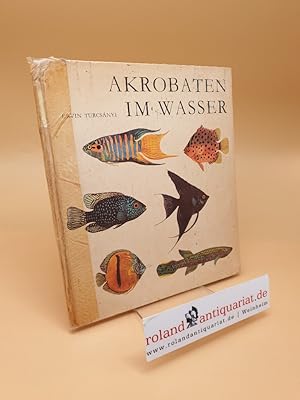 Bild des Verkufers fr Akrobaten im Wasser zum Verkauf von Roland Antiquariat UG haftungsbeschrnkt