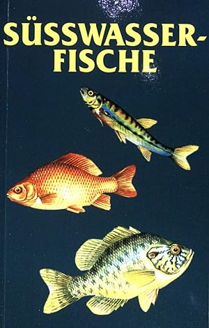 Seller image for Ssswasserfische. for sale by books4less (Versandantiquariat Petra Gros GmbH & Co. KG)