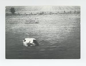 Exhibition postcard: Elisabeth Wagner (4-29 April 1981)