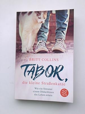 Seller image for Tabor, die kleine Straenkatze Britt Collins ; aus dem Amerikanischen von Johanna Wais for sale by Antiquariat Buchhandel Daniel Viertel