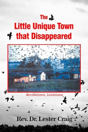 Seller image for Little Unique Town That Disappeared for sale by GreatBookPrices