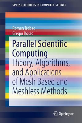 Imagen del vendedor de Parallel Scientific Computing: Theory, Algorithms, and Applications of Mesh Based and Meshless Methods (Paperback or Softback) a la venta por BargainBookStores