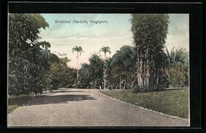 Bild des Verkufers fr Ansichtskarte Singapur, Partie im Botanischen Garten zum Verkauf von Bartko-Reher