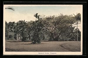 Bild des Verkufers fr Ansichtskarte Singapur, Im Botanischen Garten zum Verkauf von Bartko-Reher