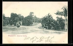Bild des Verkufers fr Ansichtskarte Singapur, Wegkreuzung im Botanischen Garten zum Verkauf von Bartko-Reher