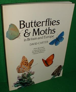 Seller image for BUTTERFLIES AND MOTHS In Britain and Europe for sale by booksonlinebrighton