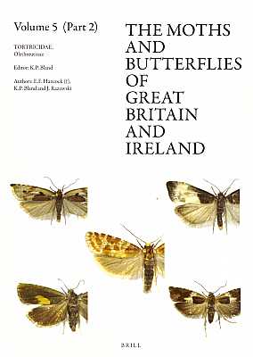 Seller image for The Moths and Butterflies of Great Britain and Ireland. Volume 5, Part 2: Tortricidae: Olethreutinae for sale by ConchBooks