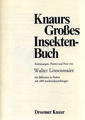 Seller image for Knaurs Groes Insekten-Buch for sale by ConchBooks