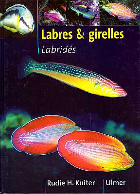 Seller image for Labres et Girelles (Labrids) for sale by ConchBooks