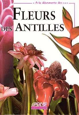 Imagen del vendedor de A la d�couverte des Fleurs des Antilles a la venta por ConchBooks