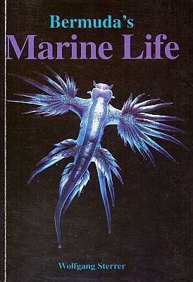 Seller image for Bermuda's Marine Life for sale by ConchBooks