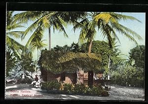 Postcard Puerto Rico, Native Typical Home