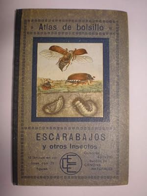 Atlas de bolsillo. Escarabajos y otros insectos