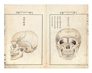 Seikotsu shinsho æ éª æ°æ [New Book on Osteology], complete with atlas entitled Kakkotsu shink...