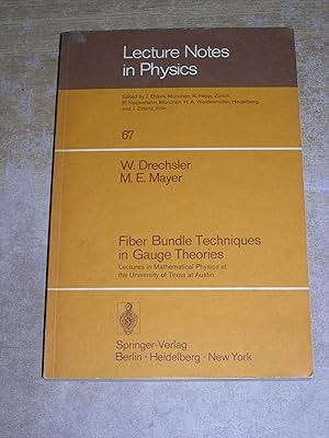 Fiber bundle techniques in gauge theories (Lecture notes in physics)