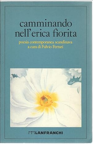 Imagen del vendedor de CAMMINANDO NELL'ERICA FIORITA - POESIA CONTEMPORANEA SCANDINAVA COLLANA L'OLANDESE VOLANTE - 7 - a la venta por Libreria Rita Vittadello