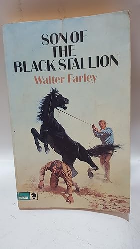 Seller image for Son of the Black Stallion: 3 (Knight Books) for sale by Cambridge Rare Books