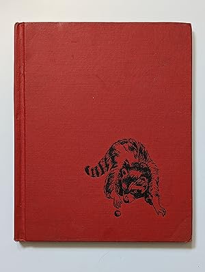 Seller image for Little Rascal for sale by Beauford's Books