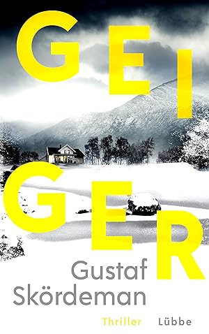 Geiger: Thriller (Geiger-Reihe, Band 1) :