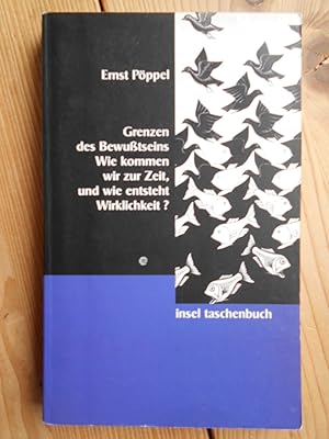 Bild des Verkufers fr Grenzen des Bewutseins : wie kommen wir zur Zeit, und wie entsteht Wirklichkeit?. Insel-Taschenbuch ; 2727 : Psychologie, Medizin zum Verkauf von Antiquariat Rohde