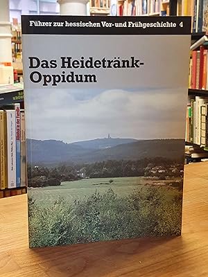 Das Heidetränk-Oppidum - Topographie der befestigten keltischen Höhensiedlung der Jüngeren Eisenz...