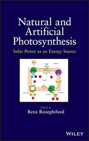 Seller image for Natural and Artificial Photosynthesis (Hardcover) for sale by Grand Eagle Retail