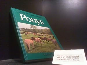 Bild des Verkufers fr Ponys : Umgang u. Haltung. zum Verkauf von Der Buchecker