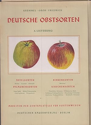 Imagen del vendedor de Deutsche Obstsorten - 5. Lieferung Apfelsorten: Bolken, Croncels, Klaraapfel, Birnensorten: Marianne, Pflaumensorten: Anna Spth, Bhler Frhzwtsche, Ontariopflaume, Wangenheim, Kirschensorten: Farnstdter Schwarze, Frheste der Mark, Leitzkauer Presauerkirsche, Naumburger Ostheimer, Querfurter Presauerkirsche, Reinhardts Ostheimer a la venta por Leipziger Antiquariat