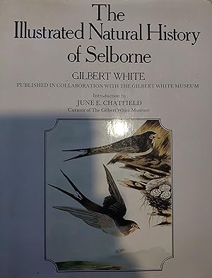 Image du vendeur pour The Illustrated Natural History of Selborne mis en vente par Bookies books