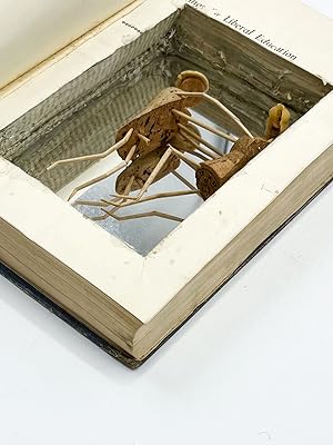 Seller image for Book Sculpture TOWARD LIBERAL EDUCATION for sale by Type Punch Matrix