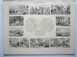 Bild des Verkufers fr Planigloben zum Verkauf von Angelika C. J. Friebe Ltd. - MapWoman