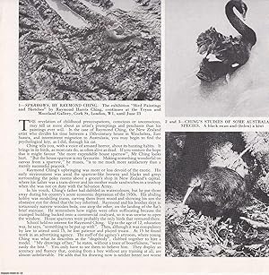 Seller image for The Bird Paintings, Sketches and Work of Raymond Harris Ching. Several pictures and accompanying text, removed from an original issue of Country Life Magazine, 1982. for sale by Cosmo Books