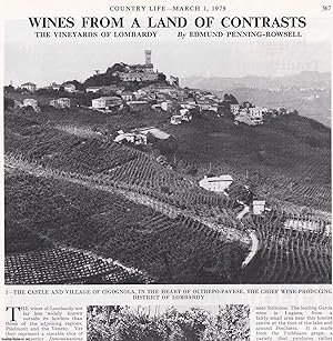 Seller image for The Vineyards and Wines of Lombardy. Several pictures and accompanying text, removed from an original issue of Country Life Magazine, 1979. for sale by Cosmo Books
