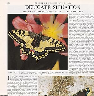 Bild des Verkufers fr Britain's Butterfly Populations. Several pictures and accompanying text, removed from an original issue of Country Life Magazine, 1984. zum Verkauf von Cosmo Books
