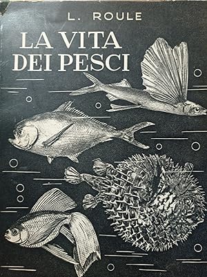 La vita dei pesci